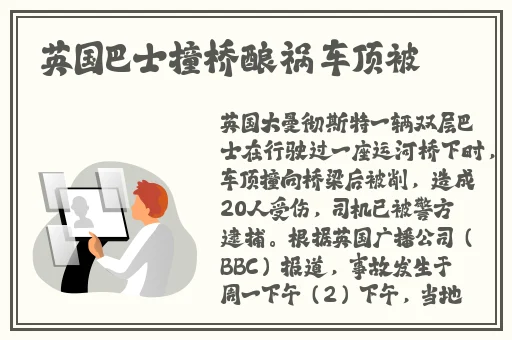 one一个就够了app色板